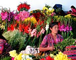Flower vendor